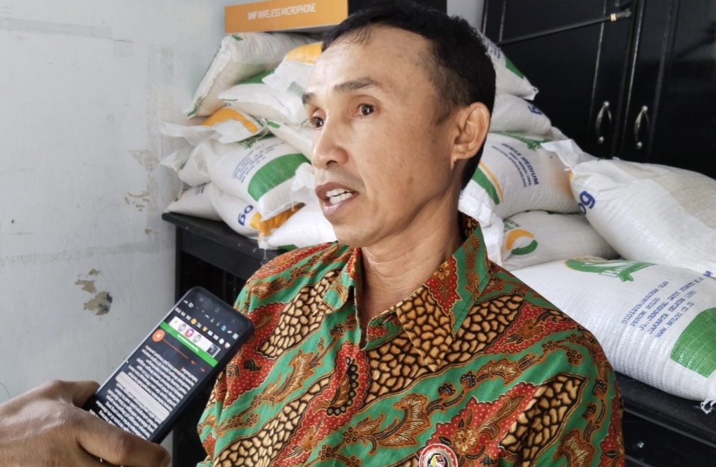 Kordiv P3S Faisal Alhasni