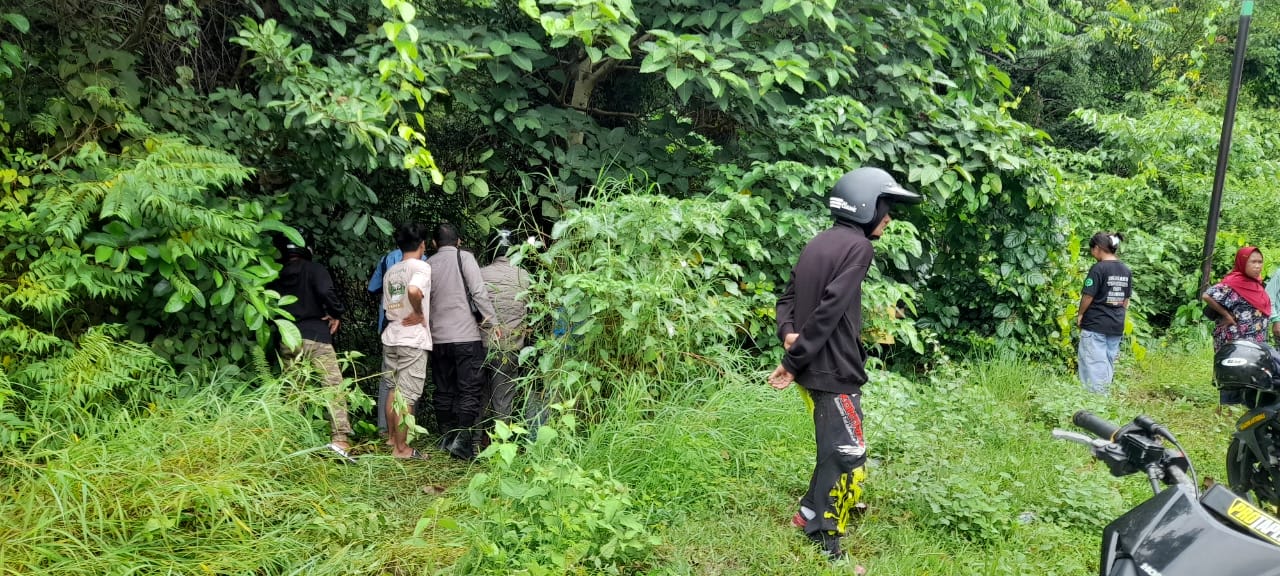 Seorang pengendara sepeda motor mengalami laka lantas tunggal di Jln Trans Sulawesi Desa Marowo Kecamatan Ulubongka, Kab Tojo Una-Una, Jumat (24/1/2025).