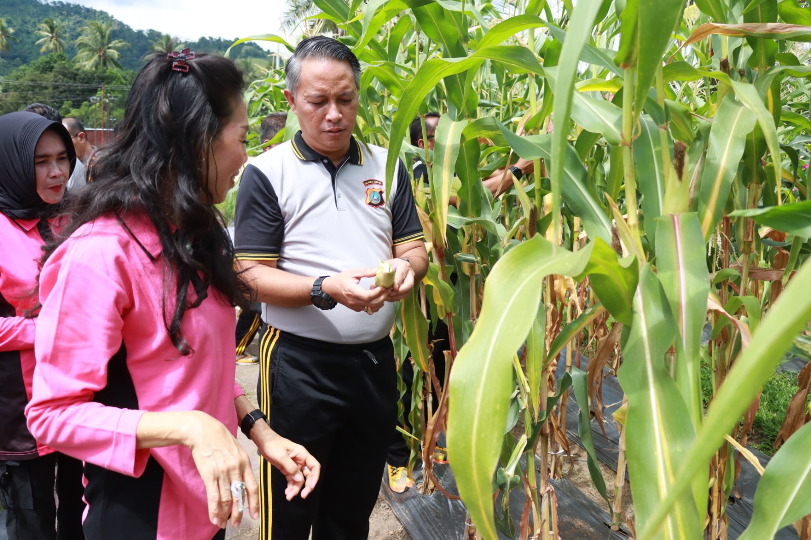 Kapolres Parigi Moutong AKBP Jovan Reagan Sumual S.H, S.I.K, M.H, M.Tr.SOU. bersama para pejabat utama (PJU), dan Bhayangkari Cabang Parigi Moutong. Panen Jagung