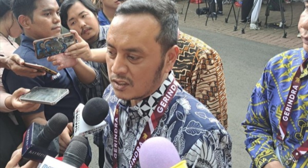 Ketua DPP NasDem Willy Aditya. (Firda Cynthia Anggrainy Al Djokya/detikcom)