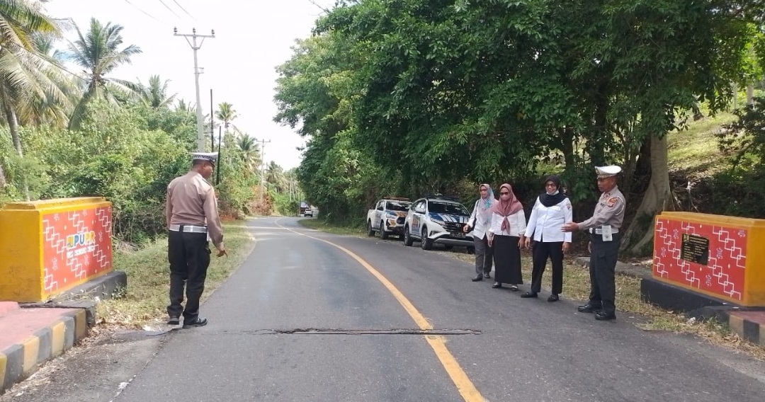 Survei jalur arus mudik