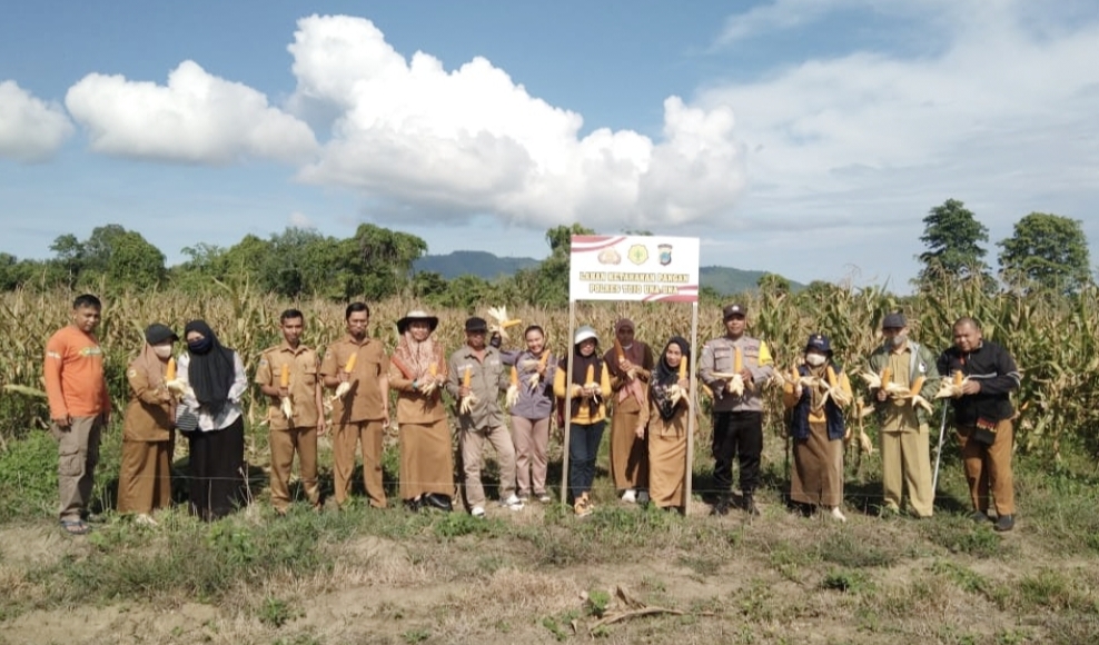 Bhabinkamtibmas Polsek Ampana Kota mengunjungi petani lewat kegiatan sambang.