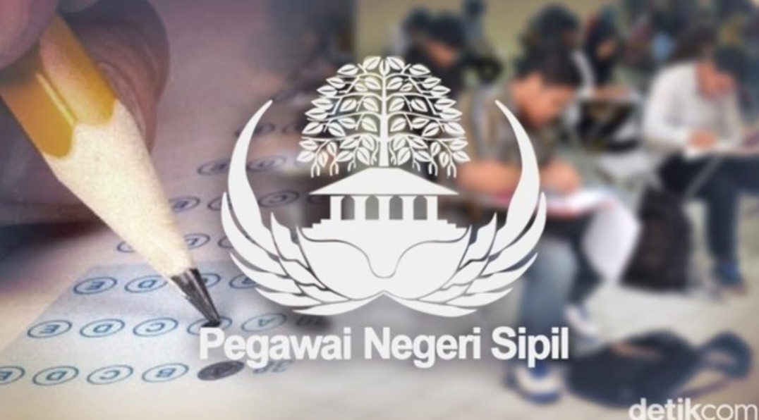 Foto: Ilustrasi CPNS 2024 dan PPPK 2024/Luthfy Syahban