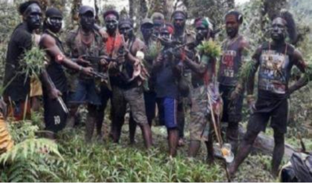 Ilustrasi, Kelompok Kriminal Bersenjata (KKB) atau dikenal Organisasi Papua Merdeka (OPM). (Foto: Istimewa).