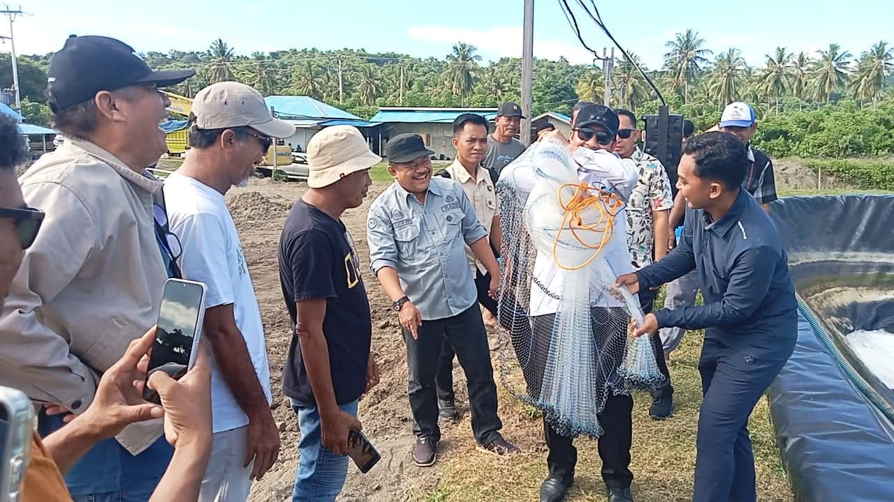 Bupati Touna, panen udang di Desa Tampabatu, Kecamatan Ampana Tete,