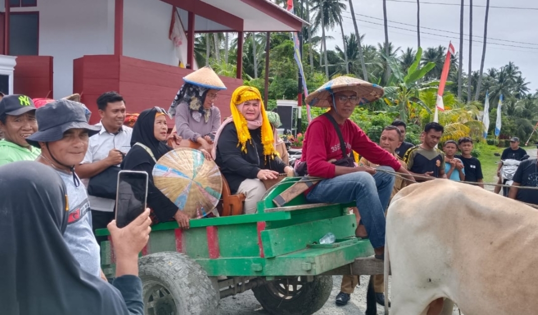 Wakil Bupati Tojo Una-Una, Naik gerobak Sapi revitalisasi tradisi Posintuvu Raya Lupi dengan mengambil daun yeki di R.T Uemangara, Dusun Uebae, Kecamatan Ulubongka, Selasa (24 Juni 2025).
