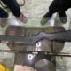 Senjata api rakitan laras panjang