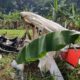 Pesawat latih jatuh di Ciampea, Bogor, Minggu (3/8/2025). (Foto: Wildan Hidayat)