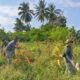 Satgas III Preventif Operasi Madago Raya. Mereka bahu membahu memanen hasil tanaman jagung yang telah dirawat selama beberapa bulan, Kamis (9/10/2025).