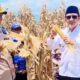 Panen Perdana Tanaman Jagung Desa Pusungi, Kecamatan Ampana Tete, Kabupaten Tojo Una-Una, Rabu 1 Oktober 2025.