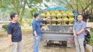 Gas 3 Kg yang diselundupkan dari Masamba terjaring Polisi di Morowali Utara (ft.ist)