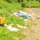 Tumpukan sampah mengundang bau tak sedap di bahu jalan Trans Sulawesi Kecamatan Petasia Timur Morowali Utara (ft.rd)