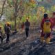 Personel Kompi 3 Batalyon B Pelopor Satbrimobda Sulteng bersama petugas Pemadam Kebakaran dan Bhabinkamtibmas bekerja sama memadamkan kebakaran hutan dan lahan di Desa Bonebae 2, Kecamatan Ulubongka, Kabupaten Tojo Una-Una, Sabtu (29/8/2026). — Foto: Dok. Satbrimobda Sulteng