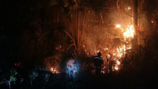 Personel gabungan Damkarmat, BPBD, dan Pos SAR Ampana bekerja memadamkan kobaran api kebakaran hutan dan lahan di Desa Balanggala, Kecamatan Ampana Tete, Senin (31/8/2026) malam.