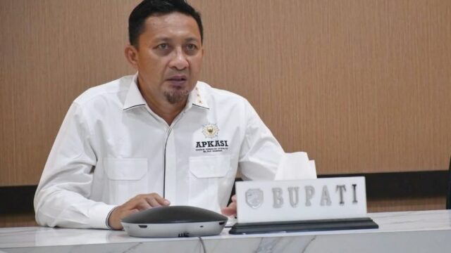 Bupati Tojo Una-Una, Ilham Lawidu, saat menyampaikan pemaparan dalam pertemuan Rembuk dan Bincang-Bincang Otonomi Daerah Antar Kepala Daerah dan Kementerian Dalam Negeri (REBOAN) yang diikuti secara daring,(Foto:PPID Dinas Kominfo Touna)