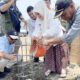 Wakil Bupati Tojo Una-Una, Surya Lapasiri, S.Sos., M.Si., melakukan peletakan batu pertama pembangunan fasilitas umum di kawasan Danau Banano, Kabupaten Tojo Una-Una, dalam rangkaian kegiatan sosialisasi penetapan garis sempadan Danau Banano I, II, dan III, Kamis (8/10/2026). — Foto: Istimewa