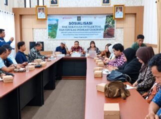 Suasana kegiatan Sosialisasi Hak Kekayaan Intelektual dan Edukasi Indikasi Geografis yang digelar Pemerintah Kabupaten Tojo Una-Una di Ampana, Kamis (15/10/2026).